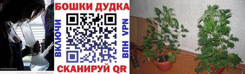 сколько стоит Чишмы МАРИХУАНА OG Kush